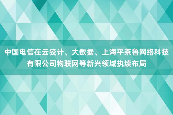 中国电信在云狡计、大数据、上海平茶鲁网络科技有限公司物联网等新兴领域执续布局
